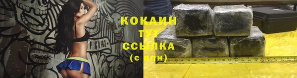 твердый Слюдянка